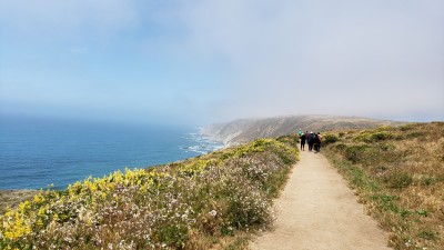 Tomales Point Trail- Point Reyes National Seashore