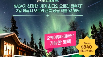 [오케이투어] 2025년은 오로라 황금기, 직접 찍은 후기 사진들 확인하세요!