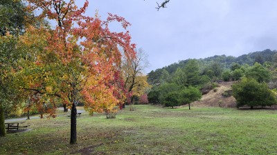 ♧ 북가주산악회 안내 ♧