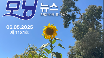 모닝뉴스_2025년 6월 5일