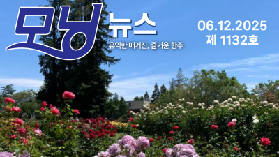 모닝뉴스_2025년 6월 12일