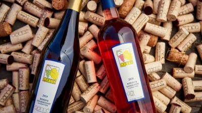 이탈리아 토스카나의 색채가 가득, 가레 와이너리 Garré Vineyard & Winery