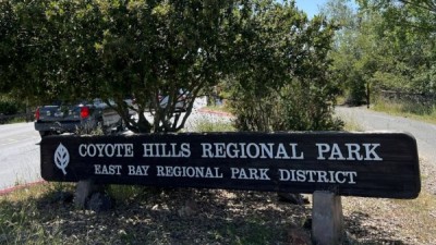 즐거운 걷기 (Coyote Hills Regional Park, Bay View Trail)